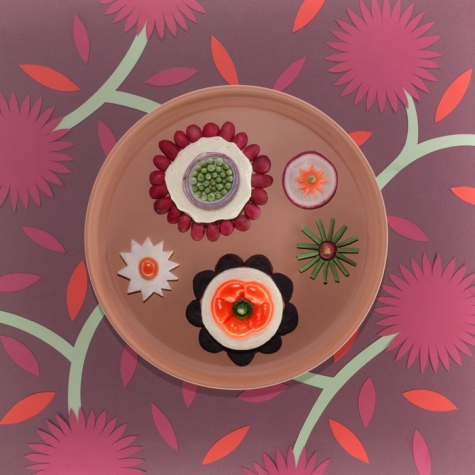 Illustrated plate with flowers on a dark red background